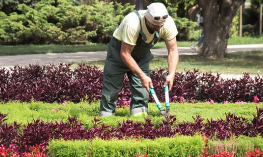 Giardiniere al lavoro - immagine per graduatoria Cantieri di lavoro edizione 2023